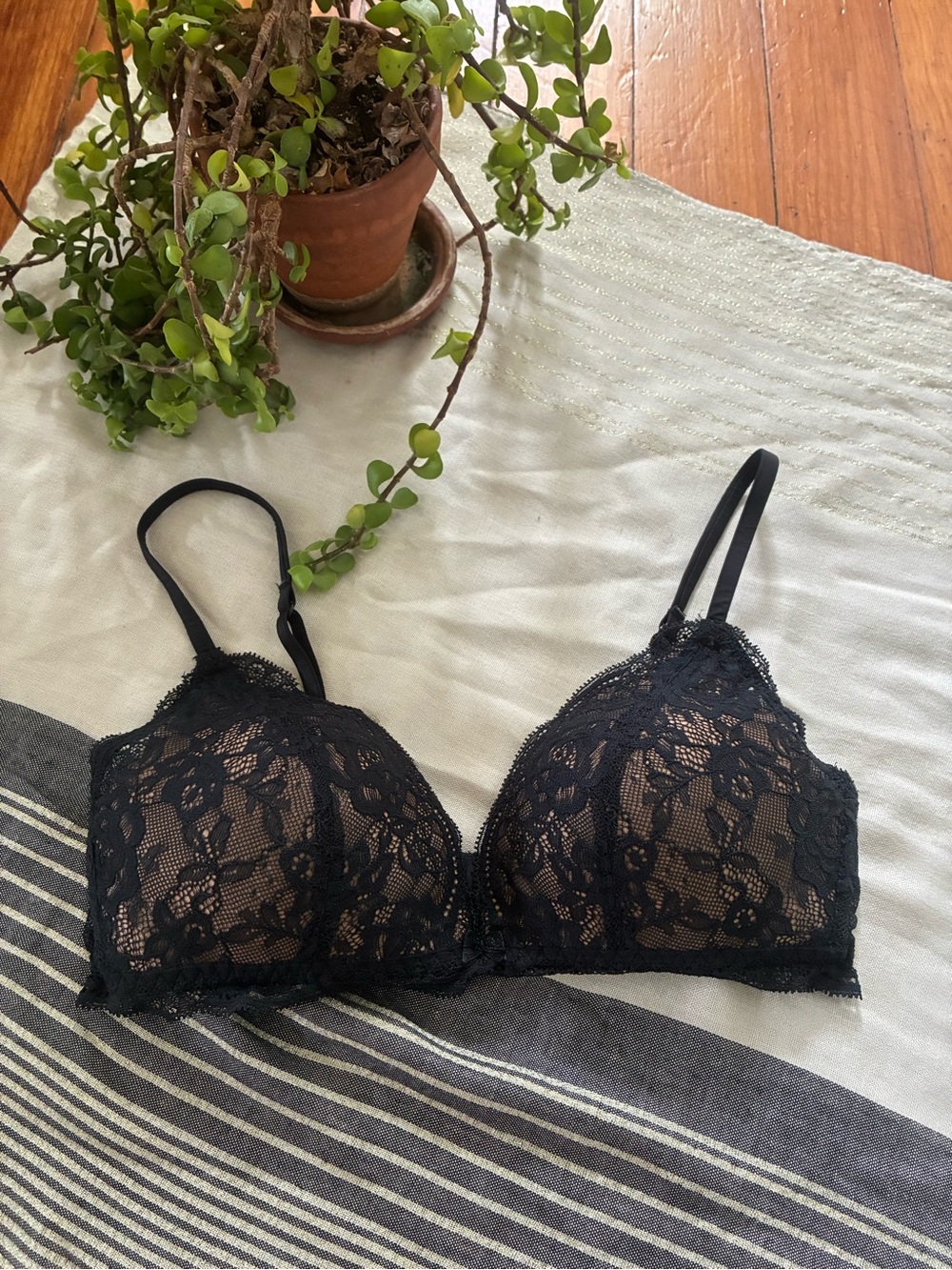 Intimissimi Tiziana Wireless Plunge Lace Bralette